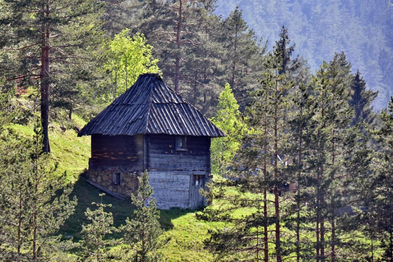 Sedmica Zlatibor Vip Bogic Διαμέρισμα Εξωτερικό φωτογραφία
